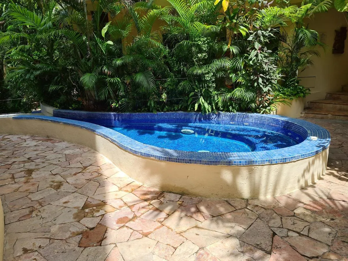 Luxury Villa Steps To The Beach & 5Ta Av, Amazing Playa del Carmen