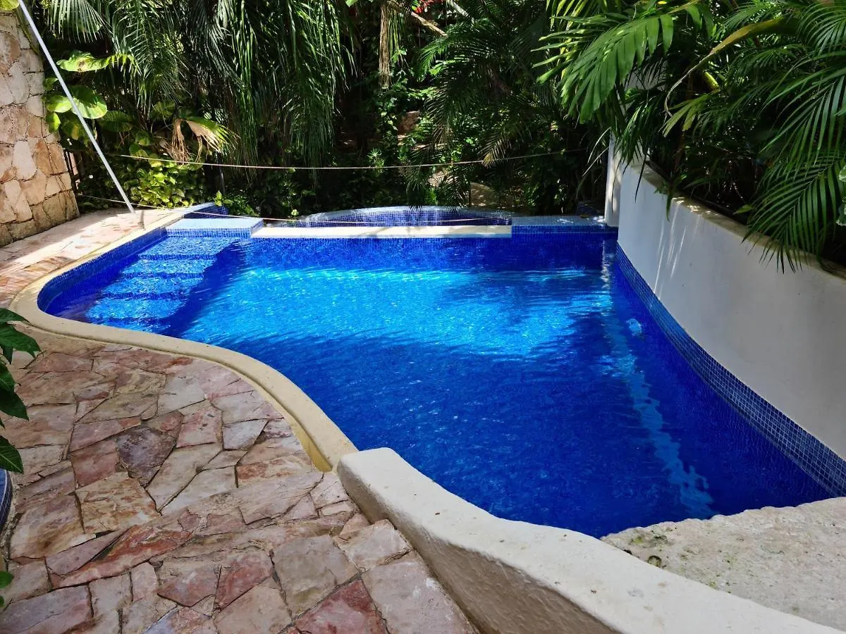 Luxury Villa Steps To The Beach & 5Ta Av, Amazing Playa del Carmen